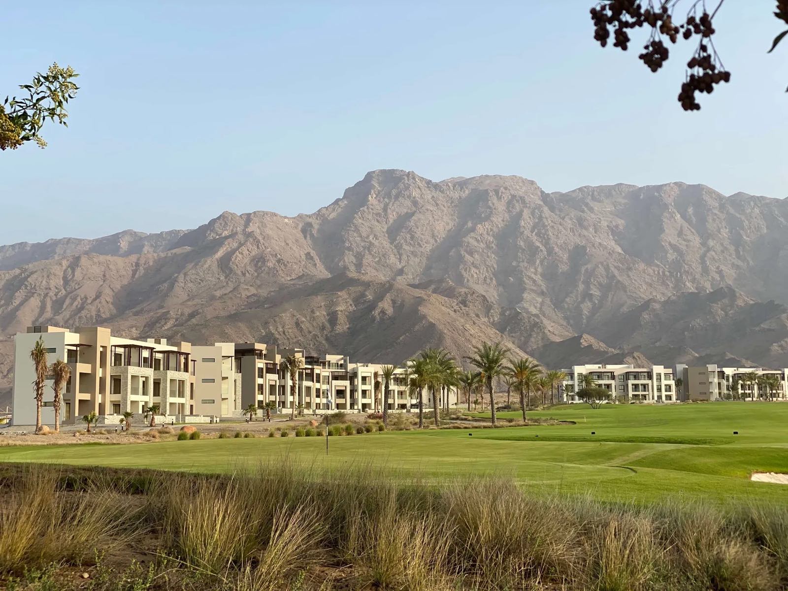 Jebel Sifah, Muscat, Oman (photo 3 of 3)
